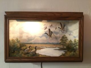 R G Rodell Diorama Hand Carved & Painted Canadian Geese,  Shadowbox Folk Art Vtg