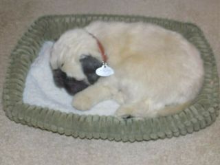 Perfect Petzzz Pug Dog Lifelike Breathing Toy Pet W/bed