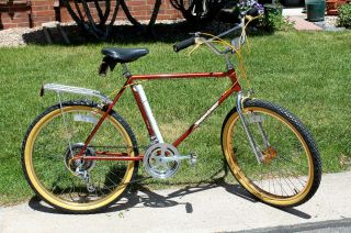 1982 Vintage Schwinn Sidewinder Mountain Bike - All Terrain Bike