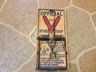 15 Official Victor Weasel Traps Nos