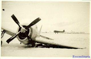 Org.  Photo: P - 47 Fighter Plane Crash Landed On Airfield In Winter; Belgium 1945