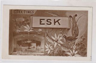 Vintage Postcard Greetings From Esk Queensland 1900s