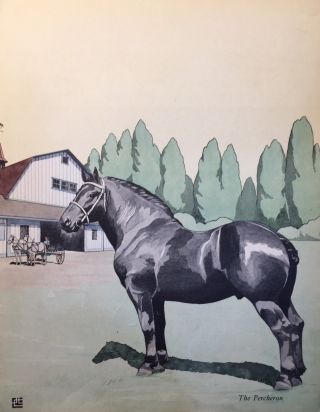 Vintage 1938 Black Percheron Stallion Horse Art Print