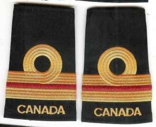 Modern Royal Canadian Navy Lieutenant Medical Officer Slip - Ons