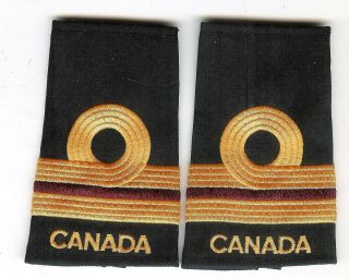 Modern Royal Canadian Navy Lieutenant Medical Service Officer Slip - Ons