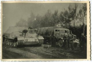 German Wwii Archive Photo: Elephant Ferdinand Tank Destroyer & Army Truck