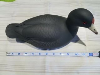 American Coot Decoy,  Oliver Lawson