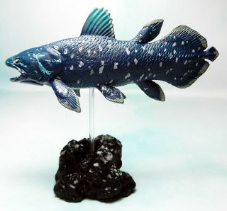 Colorata Real Figure Fossil Fish African Coelacanth Gombessa Figure Nip