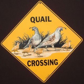 Quail Crossing Sign 16 1/2 By 16 1/2 Decor Birds Signs Novelty Painting