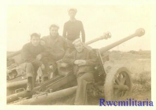 Invasion Us Navy Sailors Captured German Pak 38 5cm At Guns; Anzio,  Italy 1943