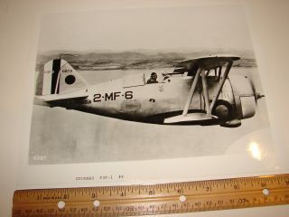 Vintage Military Airplane Aircraft Photo Photograph 8x10 Grumman F3f - 1 Flying