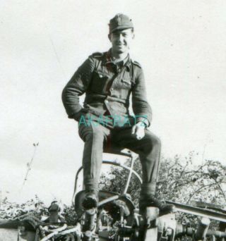 German Ww2 Photo - Wss Soldier On Flak 88 Cannon Chassis Prinz Eugen 1944