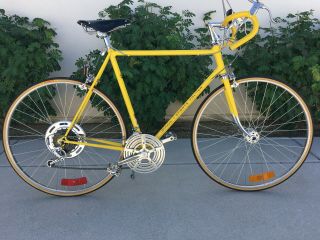 Vintage 1974 Kool Lemon Yellow Schwinn Sports Tourer 23 " Restored Classic