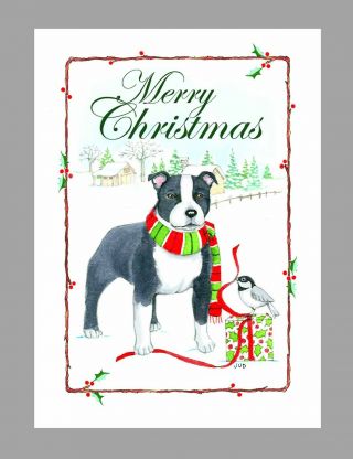 Staffordshire Bull Terrier Dog Christmas Cards,  Boxed,  16 Cards & 16 Envelopes