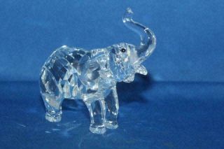 Swarovski Crystal Baby Elephant Trunk Up 191371 Figurine N0 Box
