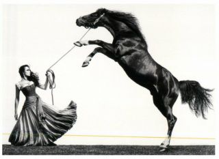 (f 1 A) Postcard - Australia - Bizet,  Carmen (women And Wild Horse)