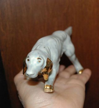 Vintage Pointer ? Hunting Dog Porcelain Figurine Blue With Gold Plate