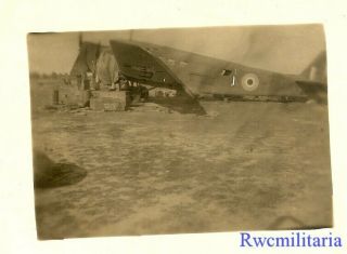 Org.  Photo: Captured Luftwaffe Ju - 52 Transport Plane In British Markings