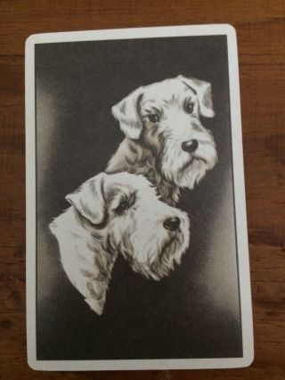 Cards Wheaten Terrier Dog Playing Cards - Full Deck