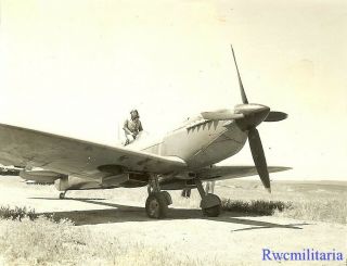 Org.  Photo: British Raf Recon Spitfire Plane On Airfield; North Africa (1)