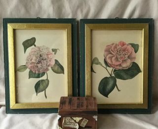 Pair Vintage Gold Gilt Stacked Frame Botanical Camellia Prints W/ Glass 6x8”