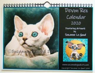 Devon Rex Cat Art 2020 Calendar Wall Painting Paintings Suzanne Le Good