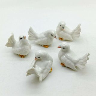 5 Pigeons Bird Ceramic Figurine Animal White Statue - Cbx042