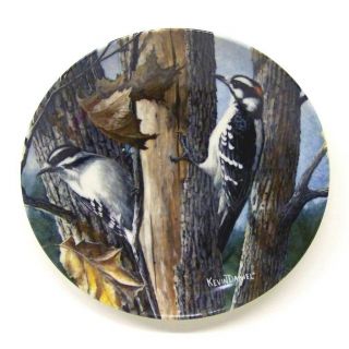 " The Downy Woodpecker " Ninth In The Series By Artist Kevin Daniel