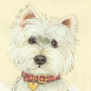 Dogs Westie " Cheeky " Ltd Edition Fine Art Print /original Painting By Barratt