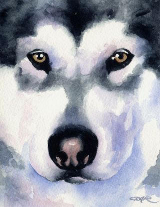 Alaskan Malamute Painting Dog 8 X 10 Art Print Signed Djr