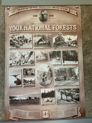 Usfs Us Forest Service Smokey Bear National Forest System Poster Sign