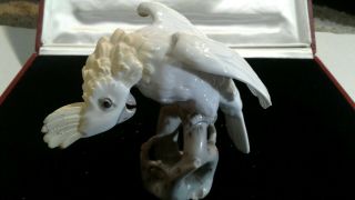 Porcelain Parakeet Ceramic Figure