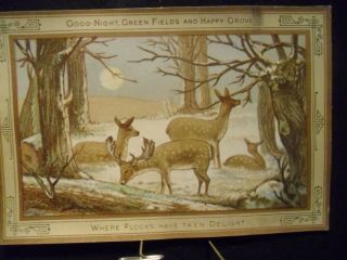 Victorian Scrap 4571 - Christmas Card - By Marcus Ward - Deer