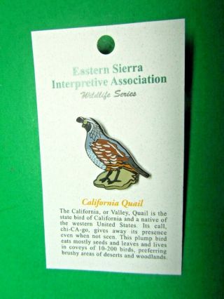 E Sierra Interpretive Assn Wildlife Series California Quail Lapel Hat Pin (cm68)