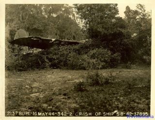 Org.  Photo: B - 17 Bomber (42 - 37895) Crash Landed In Woods; 1944 (2)