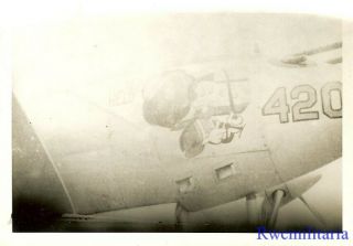 Org.  Nose Art Photo: P - 38 Fighter Plane " Heady Hedy "