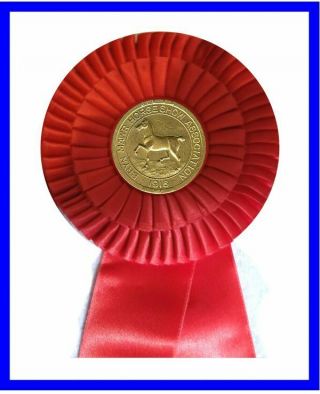 Bridle Prize Rosette Badge • USA - PA • Bryn Mawr Horse Show • 1916 • 19121001 - C 2