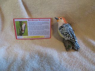 Danbury Red Bellied Woodpecker Songbird Christmas Ornament Bird