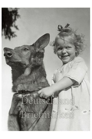 Germany Third Reich German Shepard Dog & Child Wehrmacht Ww2 Photo