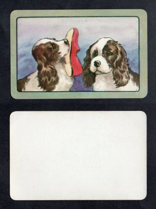 800.  245 Vintage Coles Swap Card - Near - Spaniels With Slipper