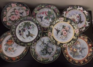 Royal Doulton Hummingbird Plates Set Of 8 Theresa Politowicz Franklin