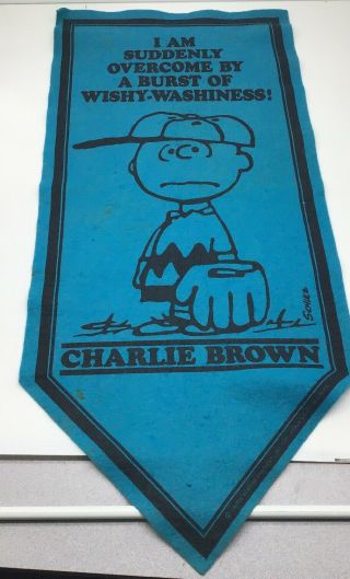 Rare Vintage 1970 Peanuts Charlie Brown Wishy - Washiness Felt Pennant / Banner