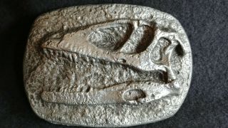 Aluminum Cast Fossil Belt Buckle Dinosaur Skull Deinonychus Museum Quality
