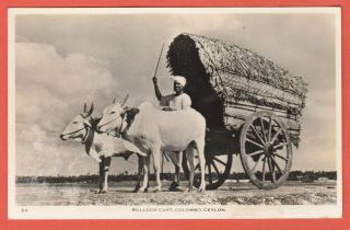 Vintage Rppc Bullock Cart Colombo Ceylon Real Photo Postcard