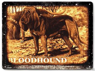 Bloodhound Hunting Dog Metal Sign / Funny Pet Shop Vintage Style Wall Decor 321