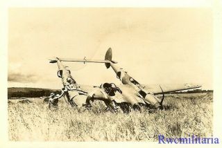 Org.  Photo: Crash Landed P - 38 Fighter Plane Nose Down In Field