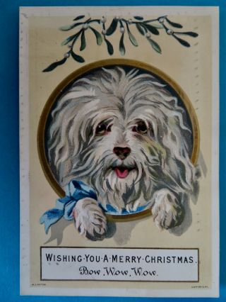 Victorian 1878 Canton White Dog Christmas Card Cockerpoo Mistletoe