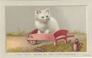 Victorian Year Card White Cat Kitten In Pink Wheelborrow