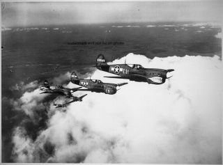 Shark - Nosed P - 40 Fighter Aircraft 8 " X 10 " World War Ii Photo Picture 18