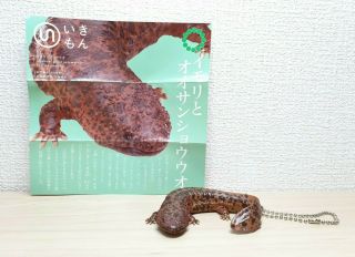 Kitan Club Nature Techni Colour JAPANESE GIANT SALAMANDER lizard keychain figure 2
